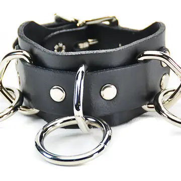 3 Medium Loop & Ring Buckle Bracelet