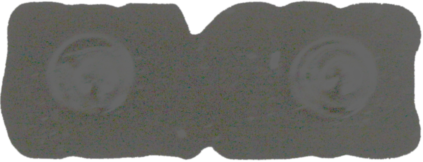 Enamel Pin - "Bad Ass"