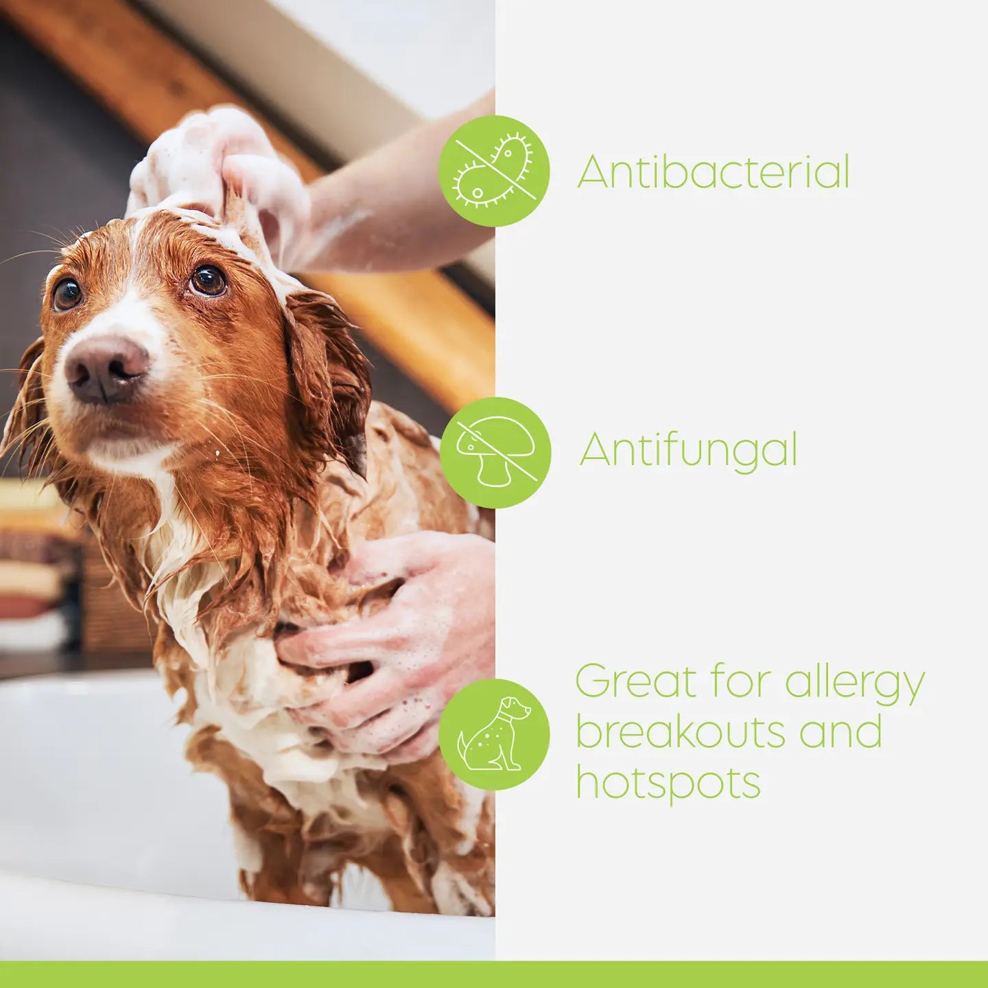Swederma™ Keto-C® Pet Shampoo