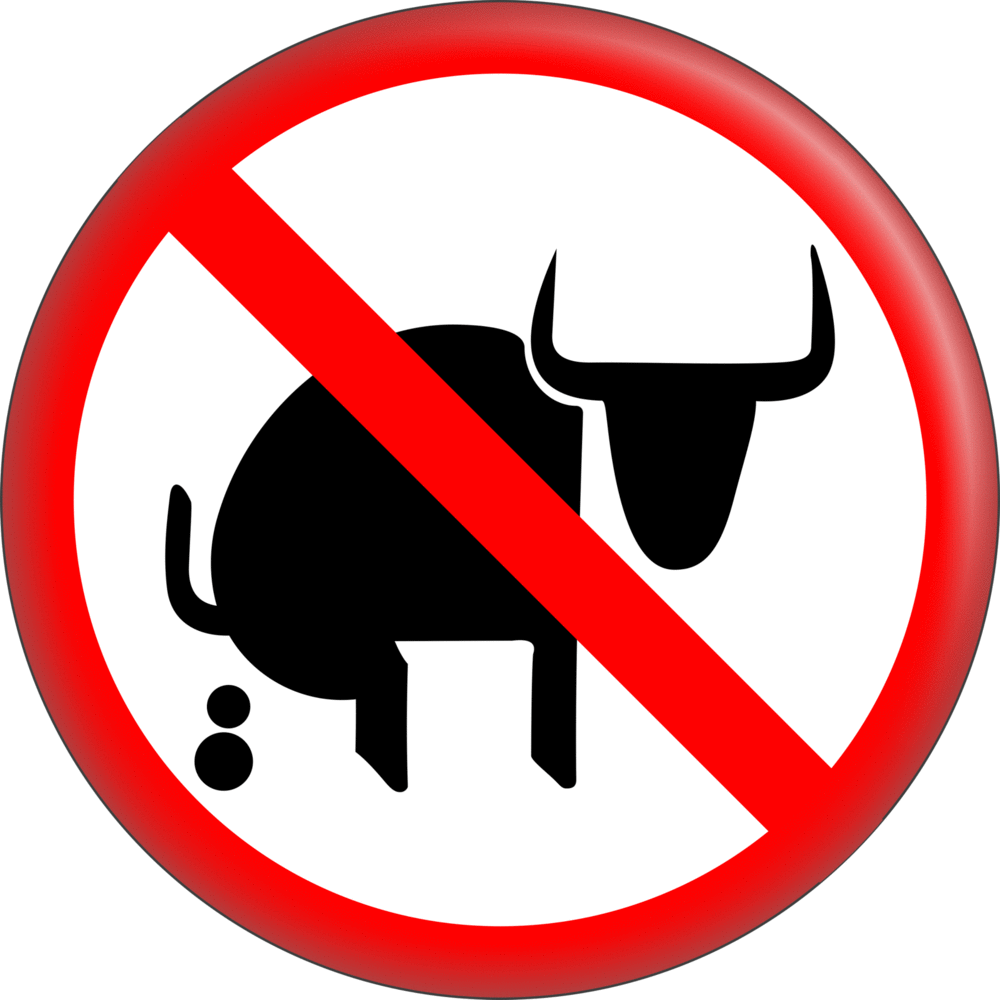 Pin-on Button - 1.25 Inch - "No Bullshit" - Bull Squatting