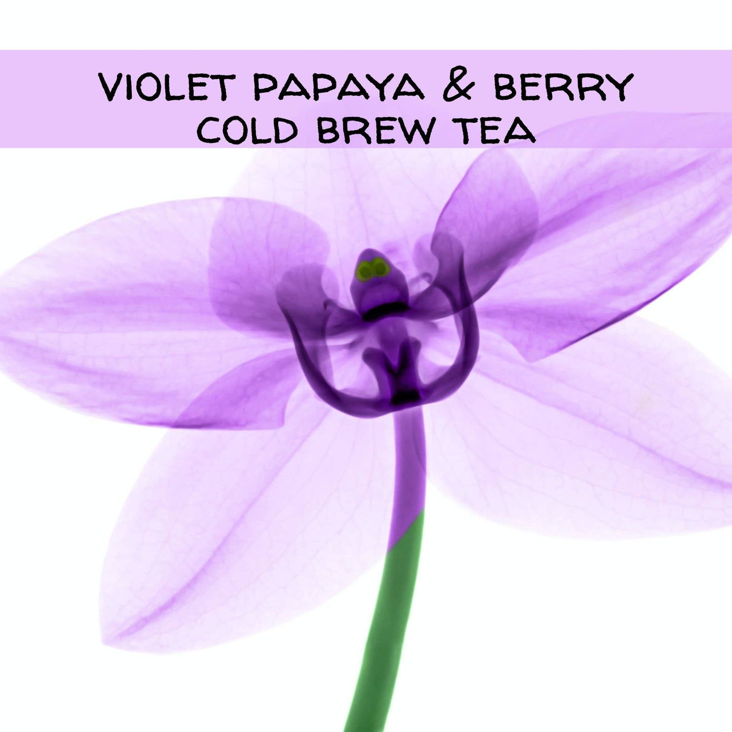 Violet Papaya & Berry Iced Tea, available in 6 or 12 packs