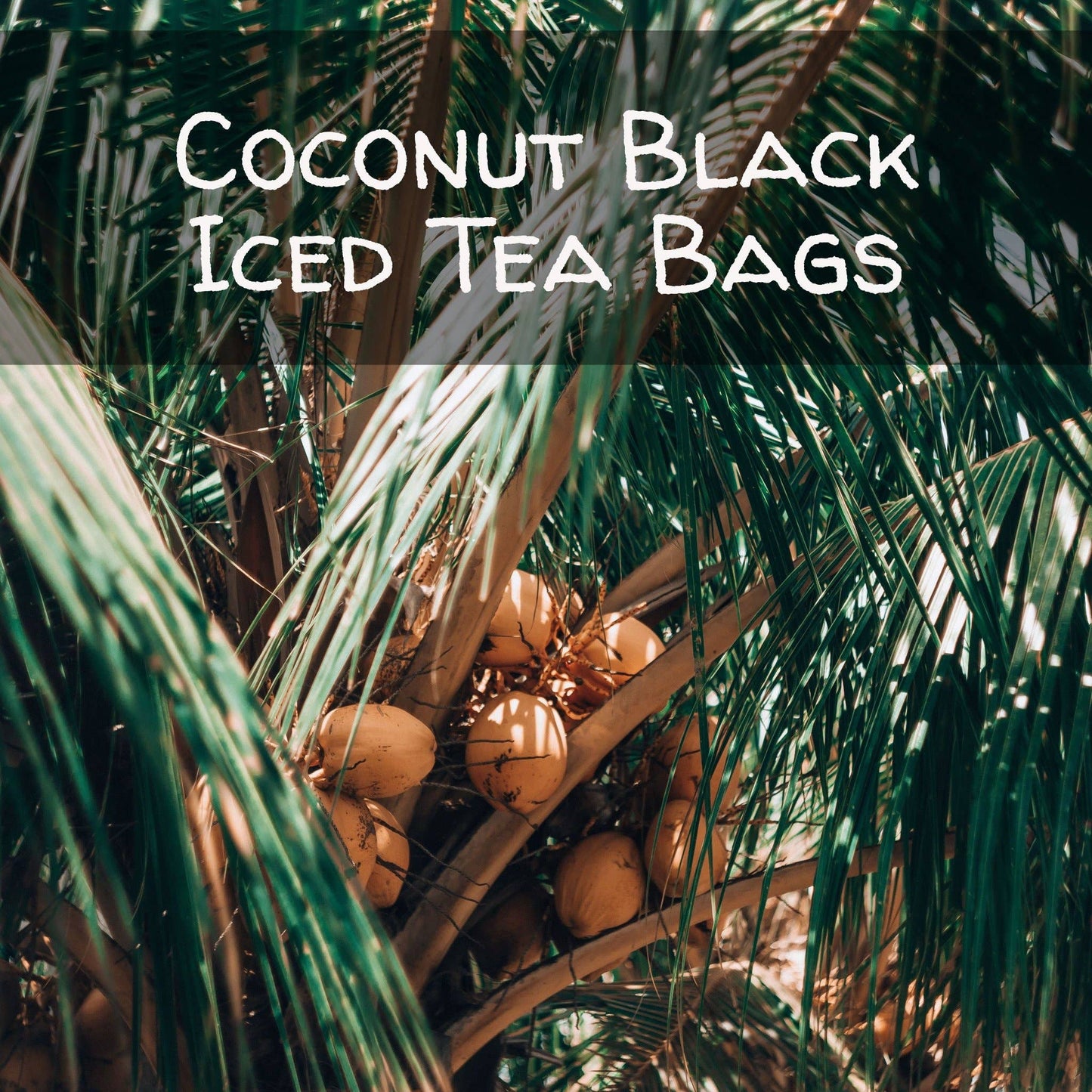 Coconut Black Iced Tea Bags, 6 Pouches