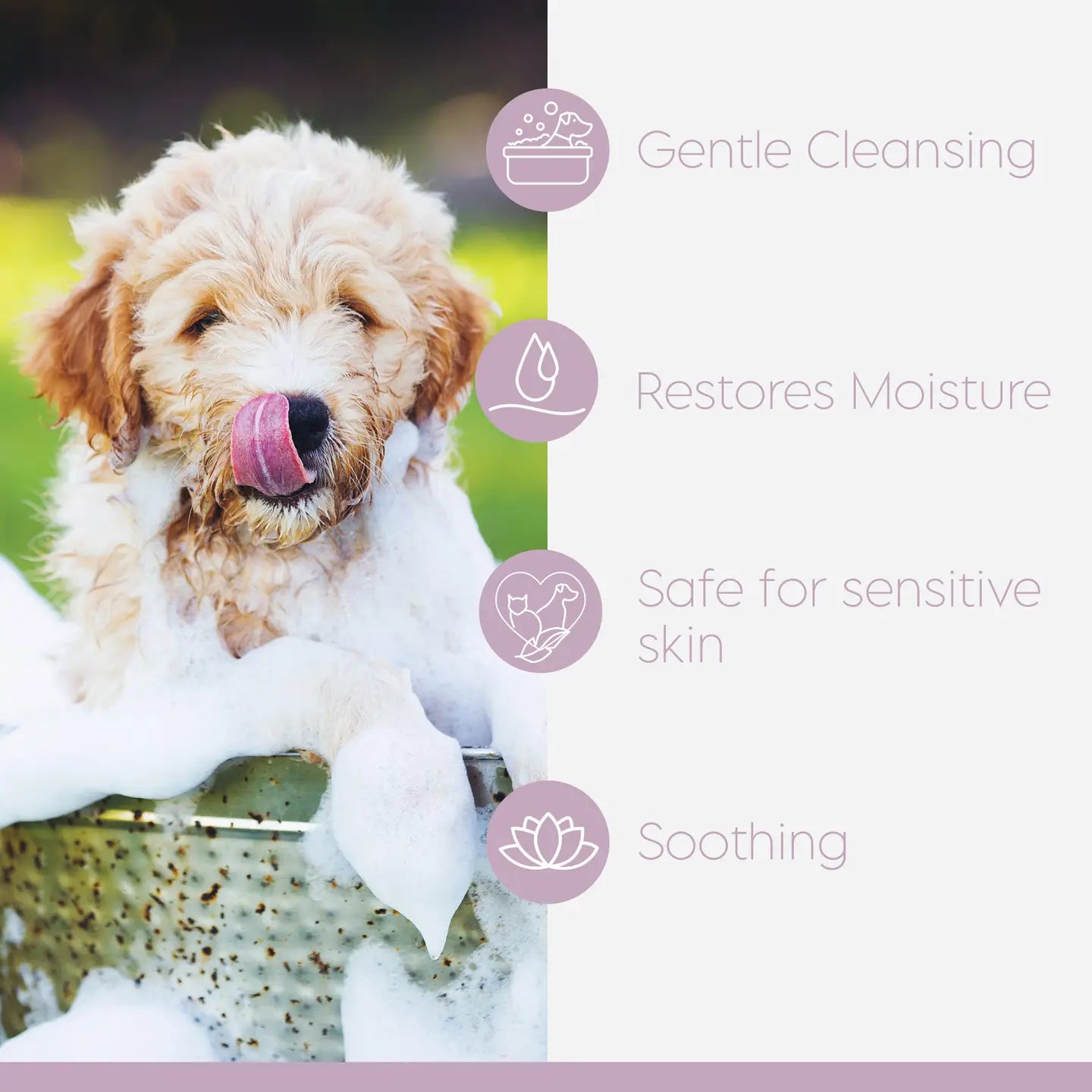 Lyxvara™ Tearless Puppy Shampoo