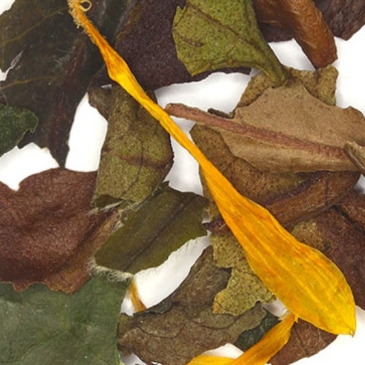 Bergamot White Tea, Loose-Leaf