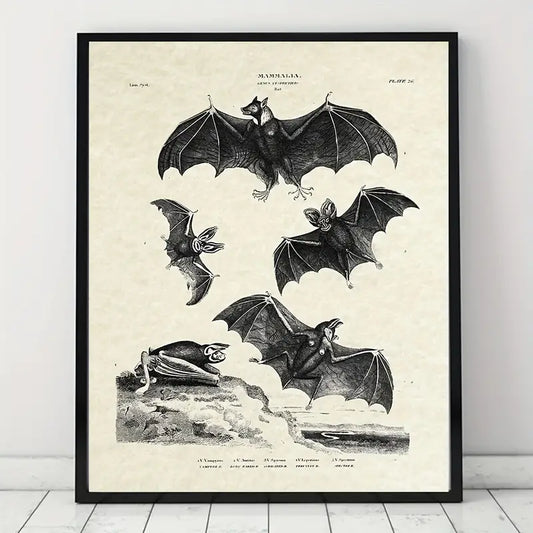 Shadow's Flight: Bats Wall Decor