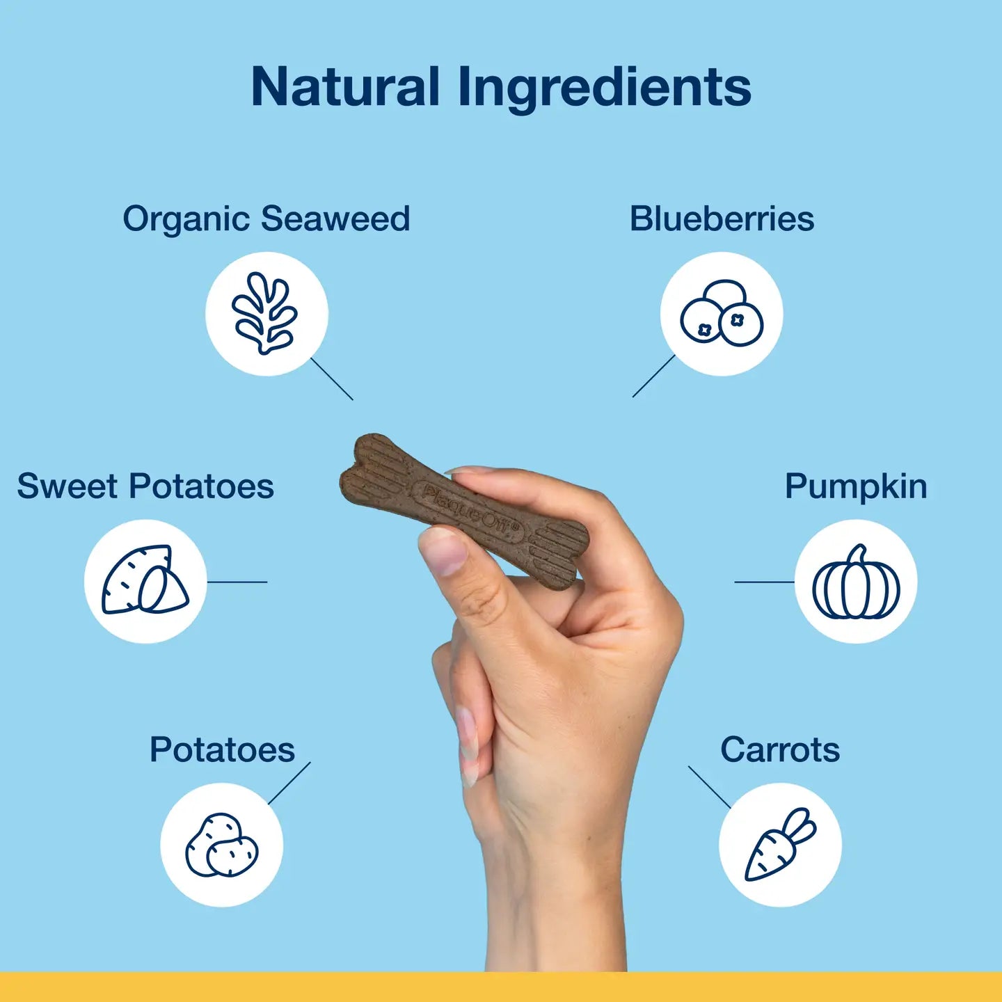 ProDen PlaqueOff® Dental Care Bones - Natural Bacon