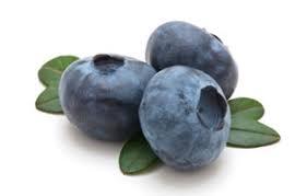 White Blueberry Cold Brew Iced Tea Bags