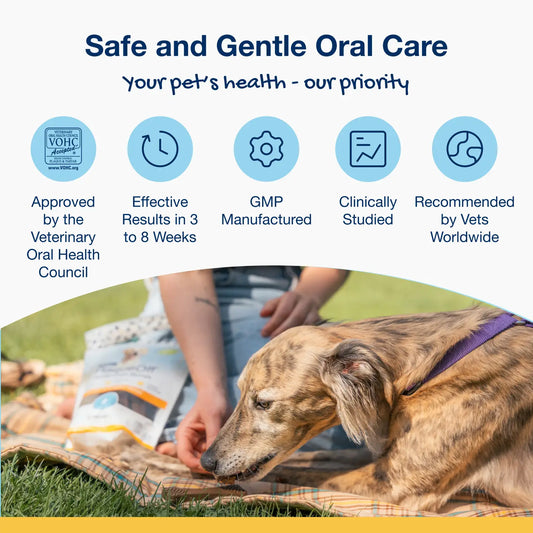 ProDen PlaqueOff System™ Dental Care Bones Singles