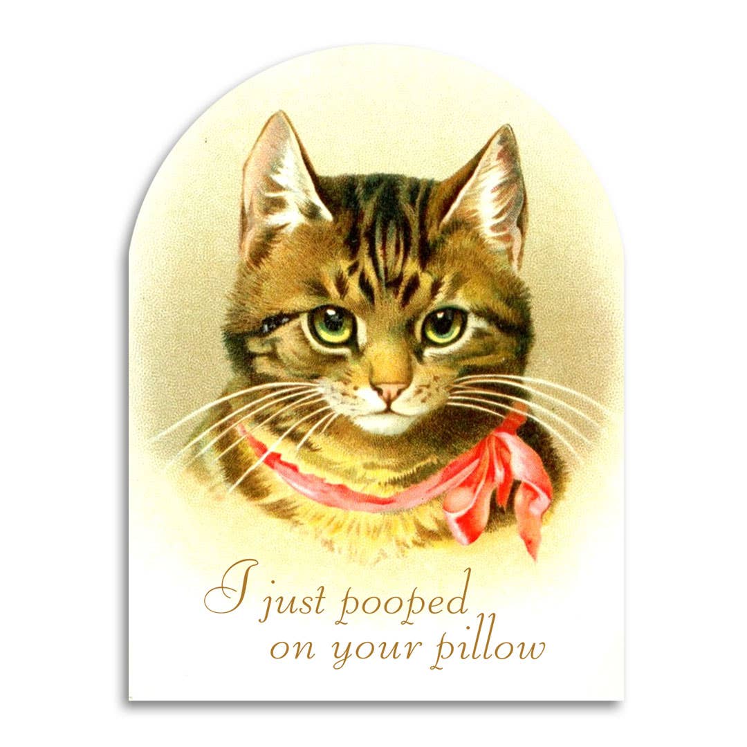 I Just Pooped on Your Pillow - Funny Cat Lover Card