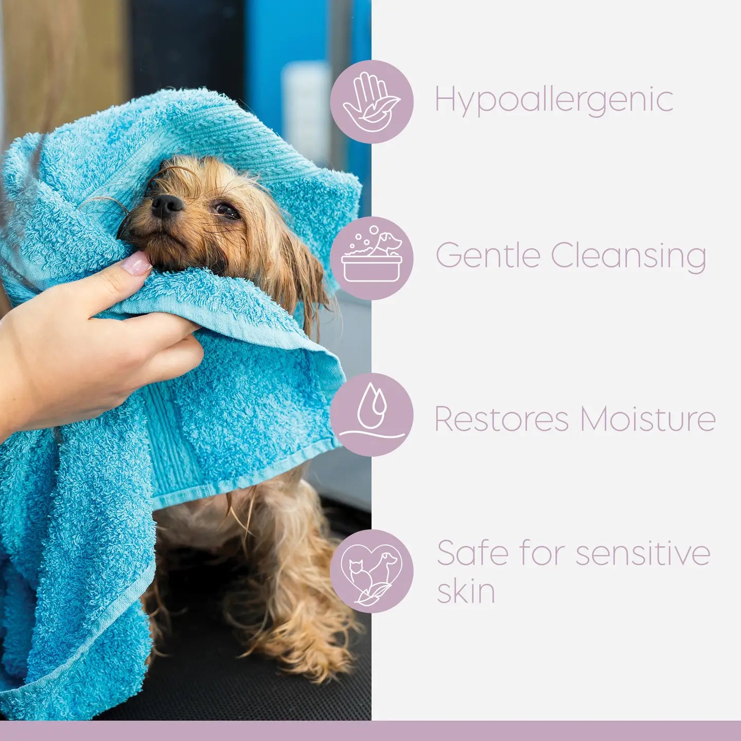 Lyxvara™ Aloe & Oatmeal Shampoo