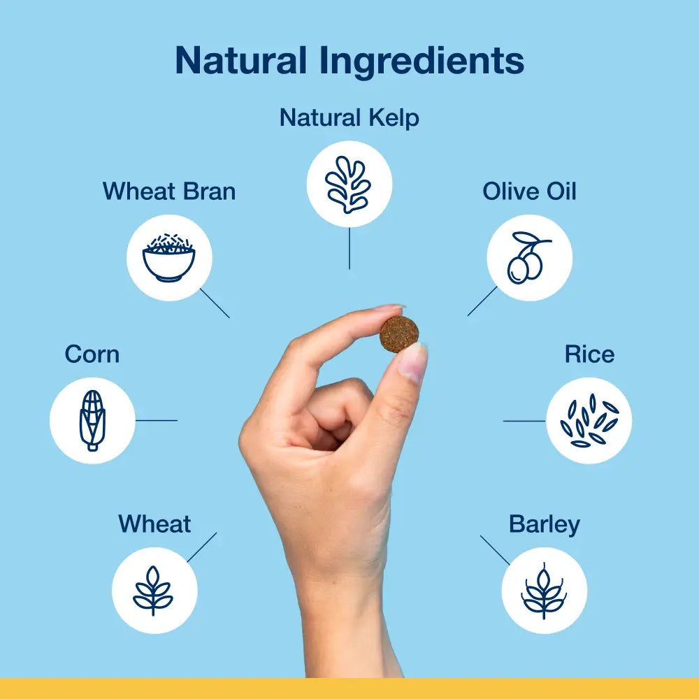 ProDen PlaqueOff System® Crunchy Dental Bites L/G Dogs