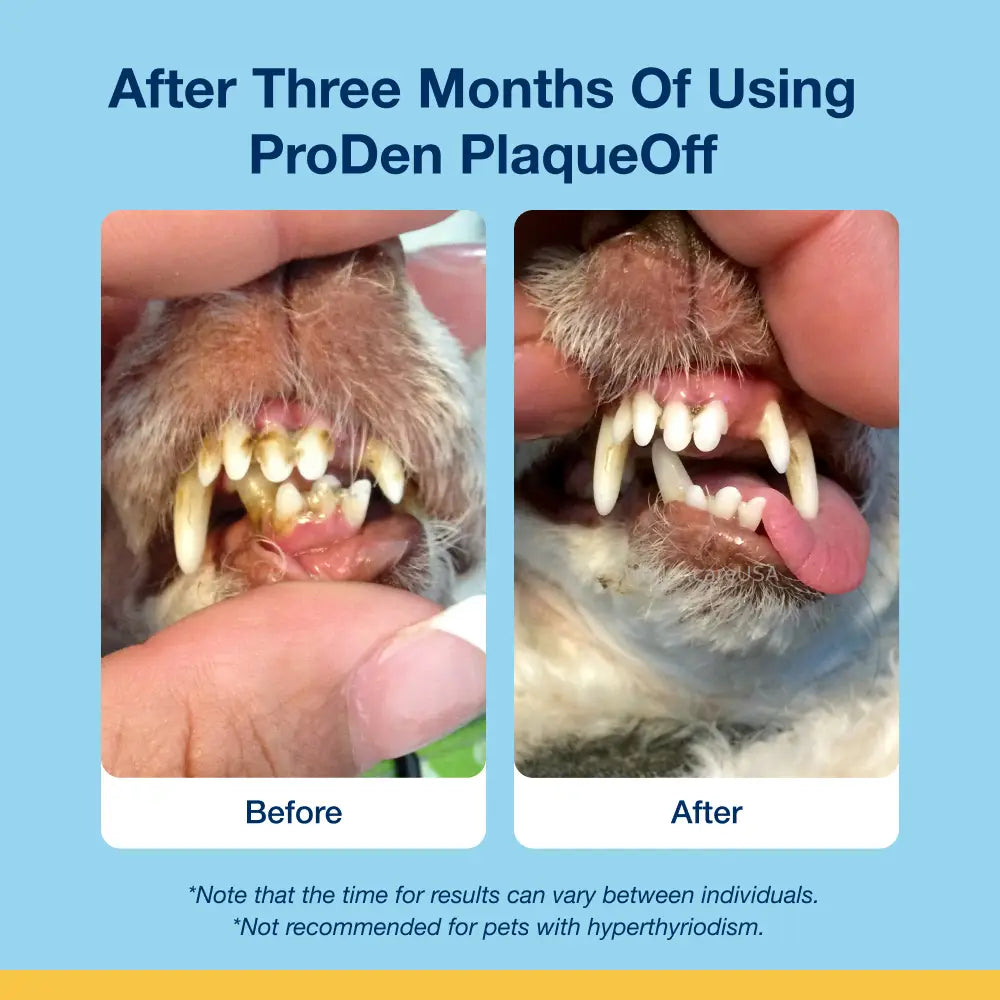 ProDen PlaqueOff System® Crunchy Dental Bites For Cats