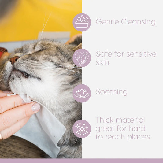 Lyxvara™ Ez-Derm™ Aloe & Oatmeal Cleansing Wipes