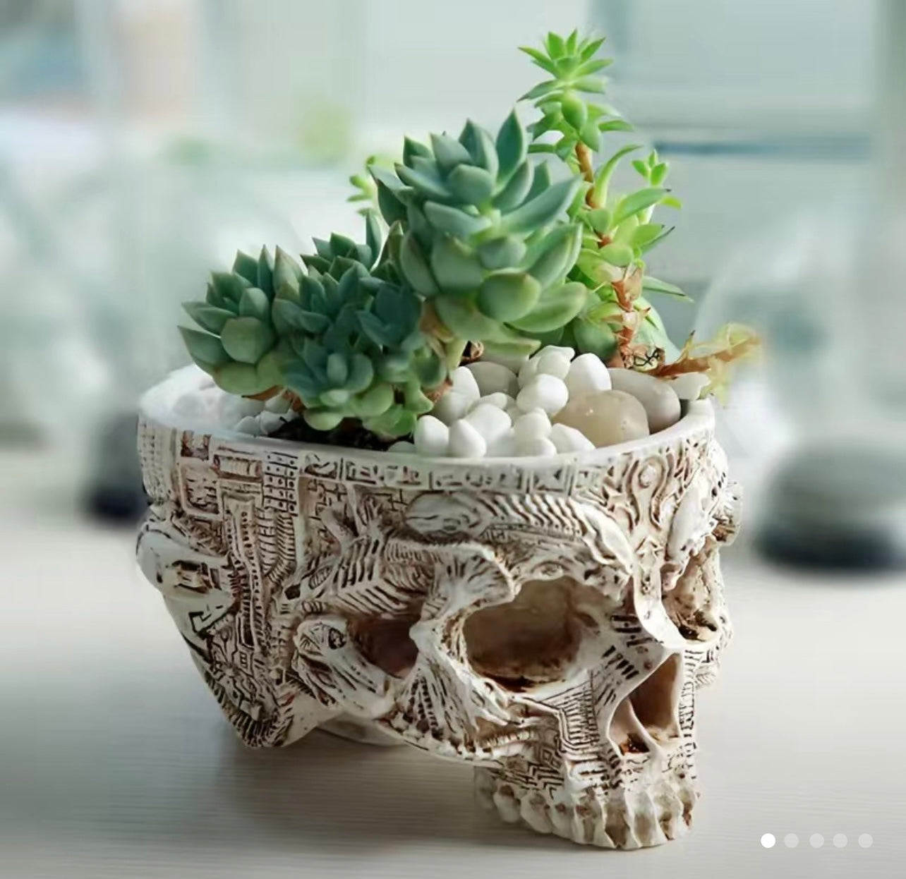 Skull pot