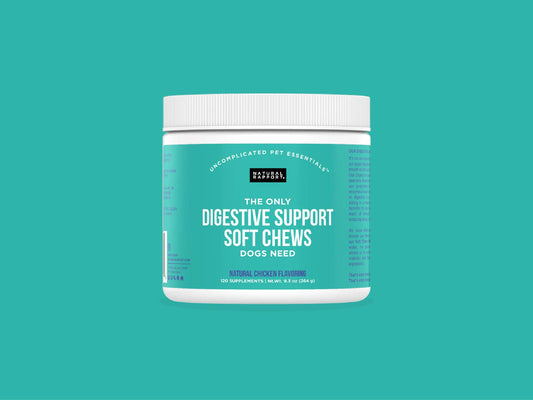The Only Digestive Support Soft Chews Dogs Need: 120 count jar